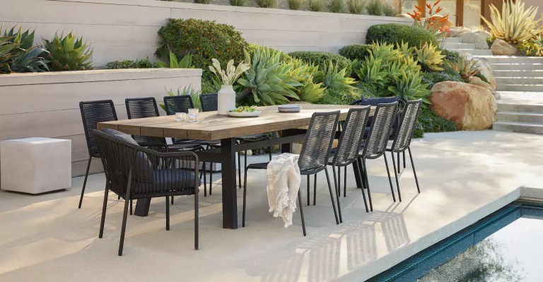 dog friendly patio austin texas 768x399